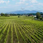 Apartment In Lucca With Winery And Pool Cappella