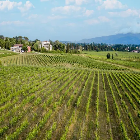 Apartment In Lucca With Winery And Pool شقة Cappella
