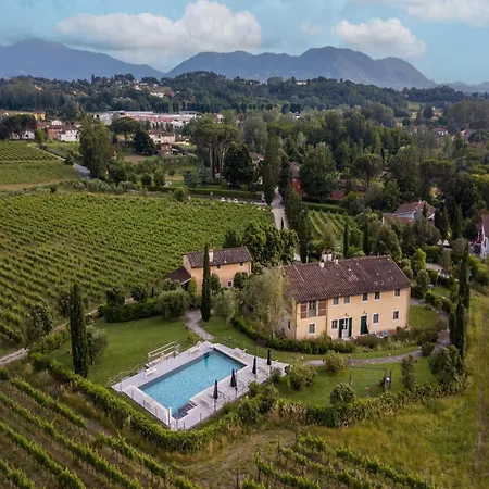 In Lucca With Winery And Pool 아파트 Cappella
