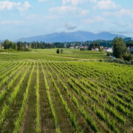 In Lucca With Winery And Pool Cappella
